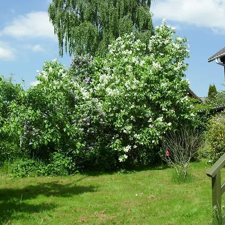 Borup Bed & Breakfast