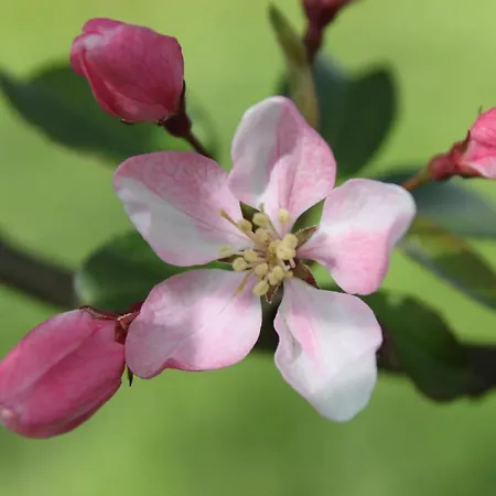 فندق مبيت وإفطار Borup Bed & Breakfast