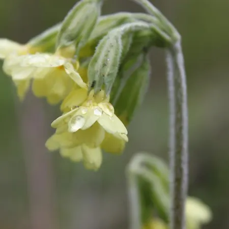 فندق مبيت وإفطار Borup Bed & Breakfast Borup (Koge)