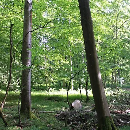 فندق مبيت وإفطار Borup Bed & Breakfast