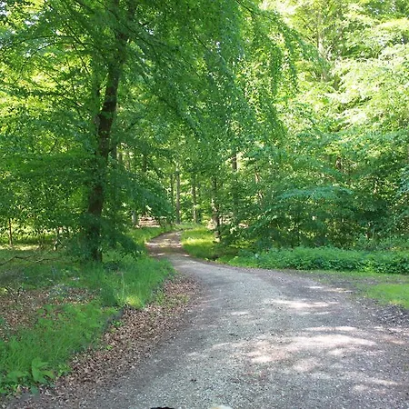 Borup Bed & Breakfast Borup (Koge)