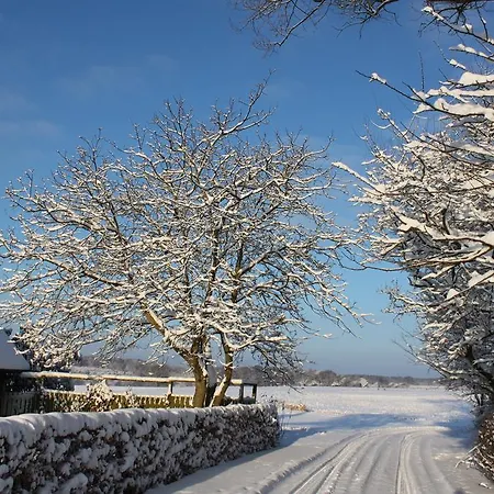 Borup Bed & Breakfast