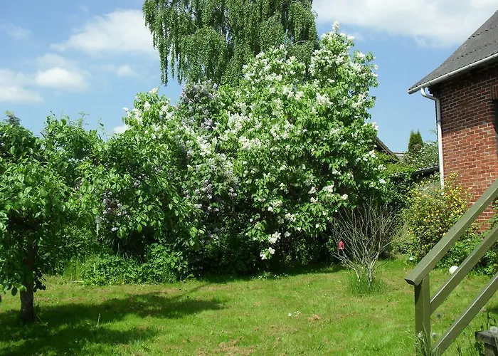 Borup Bed & Breakfast