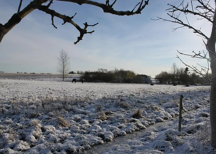 Bed & Breakfast Borup Bed & Breakfast *