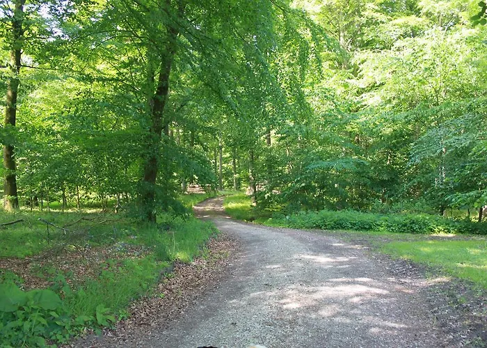 Borup Bed & Breakfast Borup (Koge)