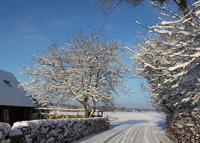 Borup Bed & Breakfast