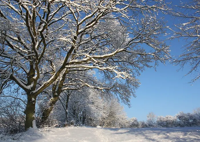 Borup Bed & Breakfast Borup (Koge)