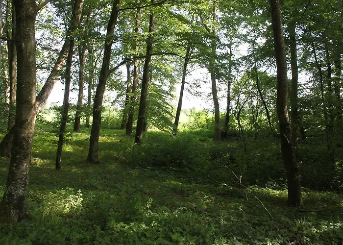 Frühstückspension Borup Bed & Breakfast