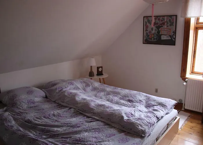 Borup Bed & Breakfast *